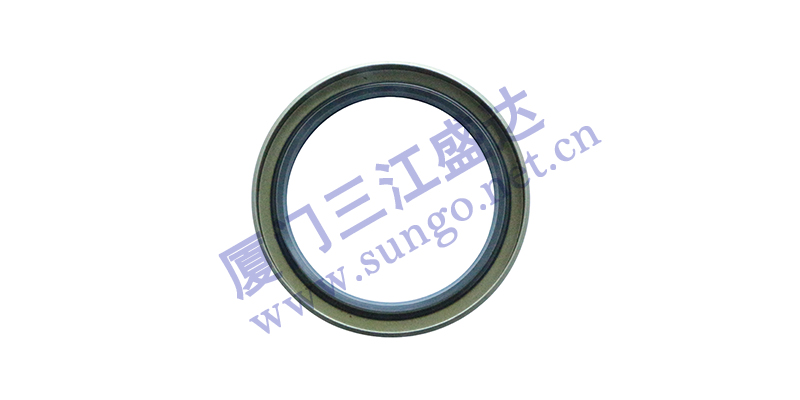 影響油封正常運(yùn)轉(zhuǎn)的因素有哪些？